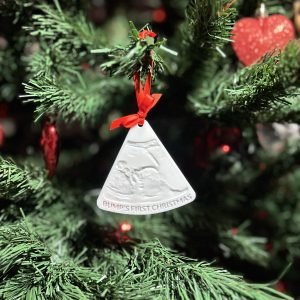 Magic Ultrasound Christmas Keepsake Ornament